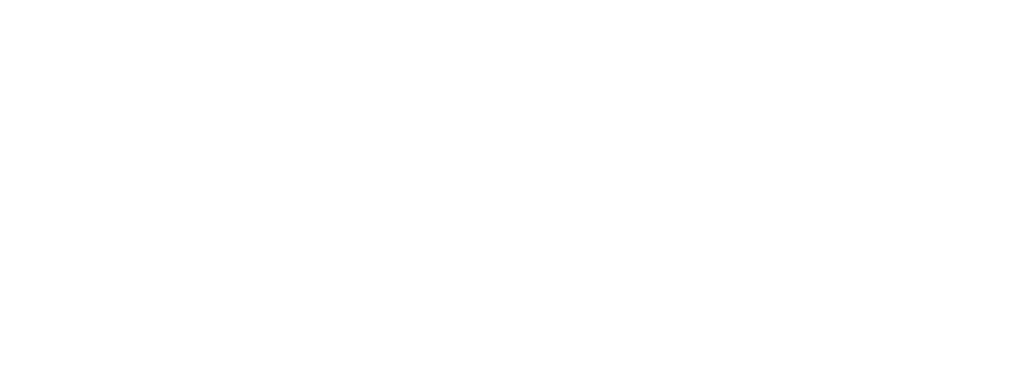 Logo Fortiche
